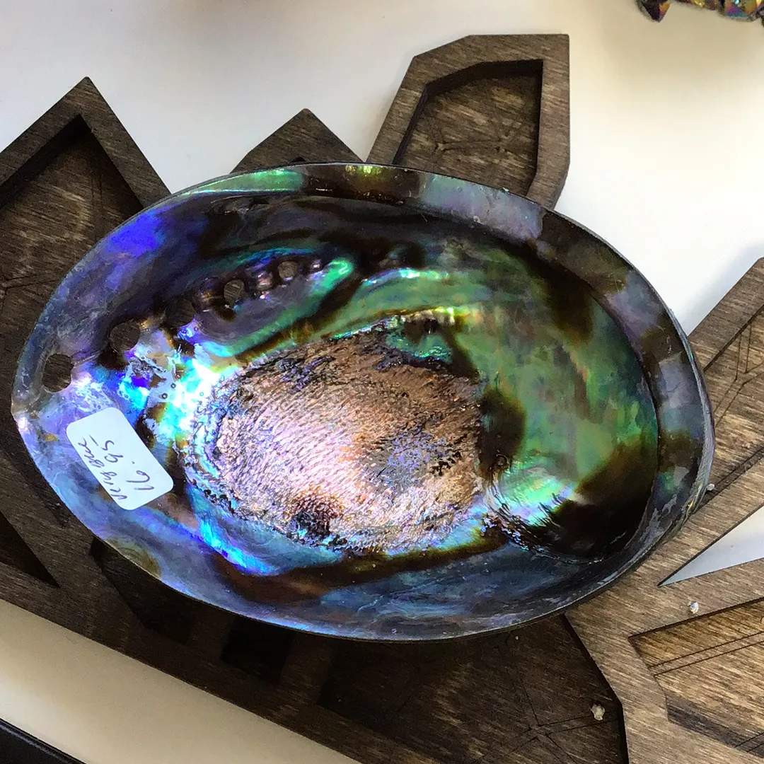 Abalone Shells, Very Blue