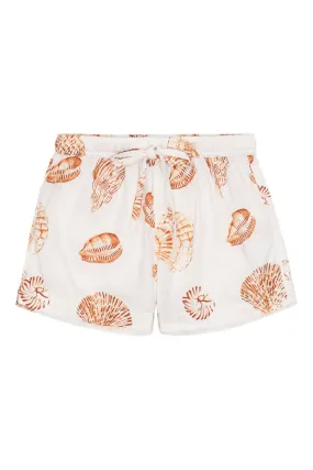 Boy's Shorts - Cotton - Shell