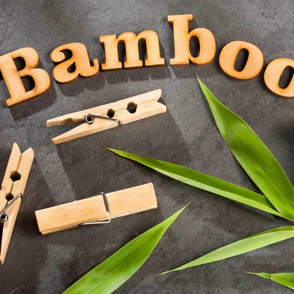 Eco Friendly Bamboo Clothes Peg with Reusable Bag | Pack of 20