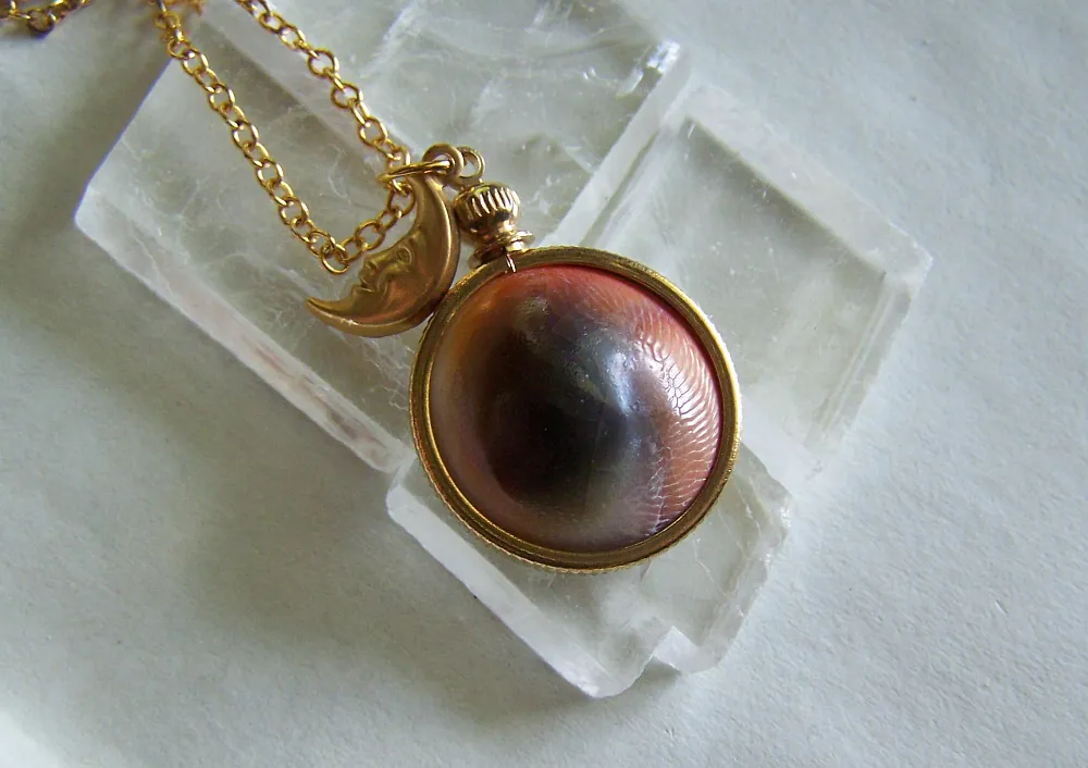 Evil Eye Natural Operculum Seashell Pendant Necklace