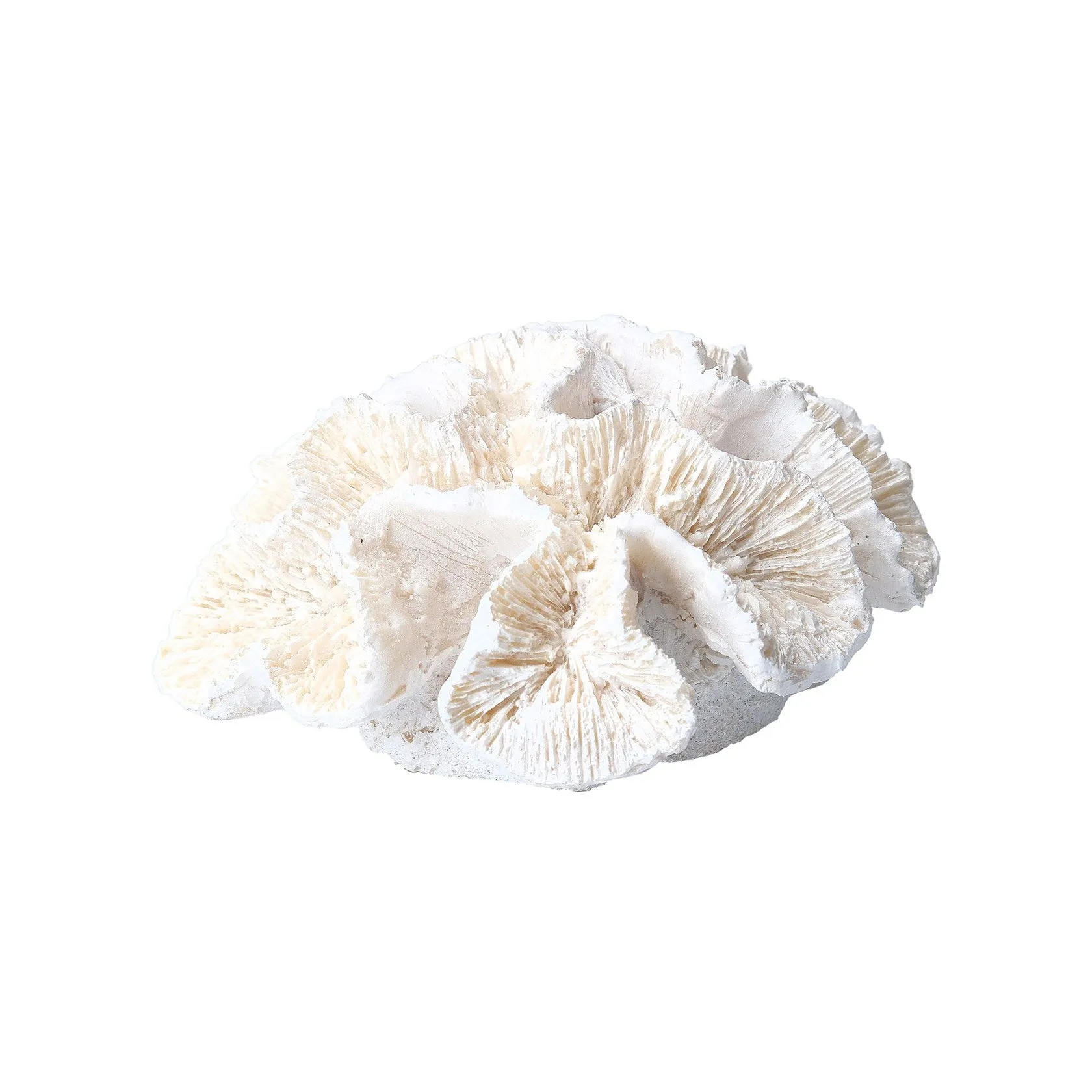 Frill coral ornament (Small)