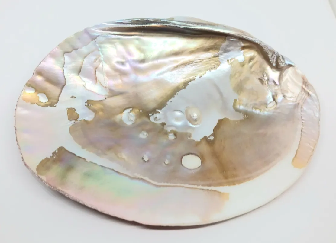 Pearl Shell Altar Plate