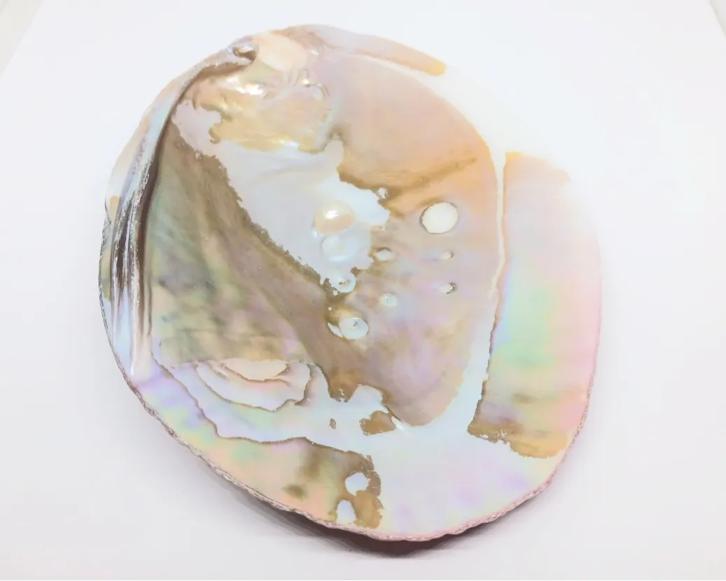 Pearl Shell Altar Plate