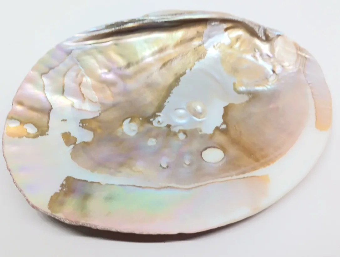 Pearl Shell Altar Plate