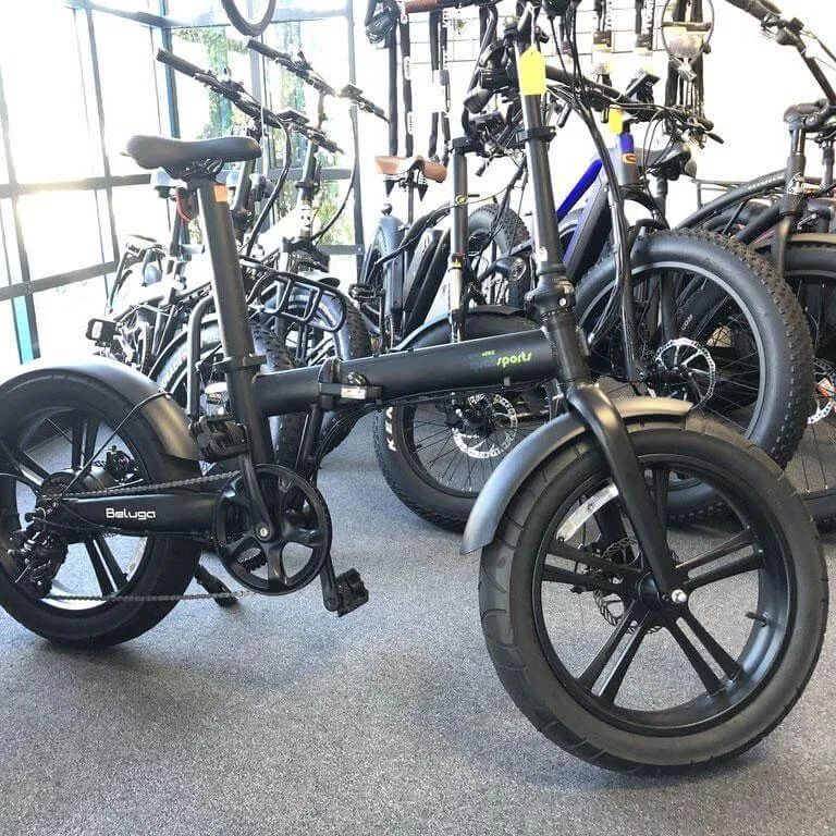 Qualisports Beluga Fat Tire Portable Folding Electric Bike