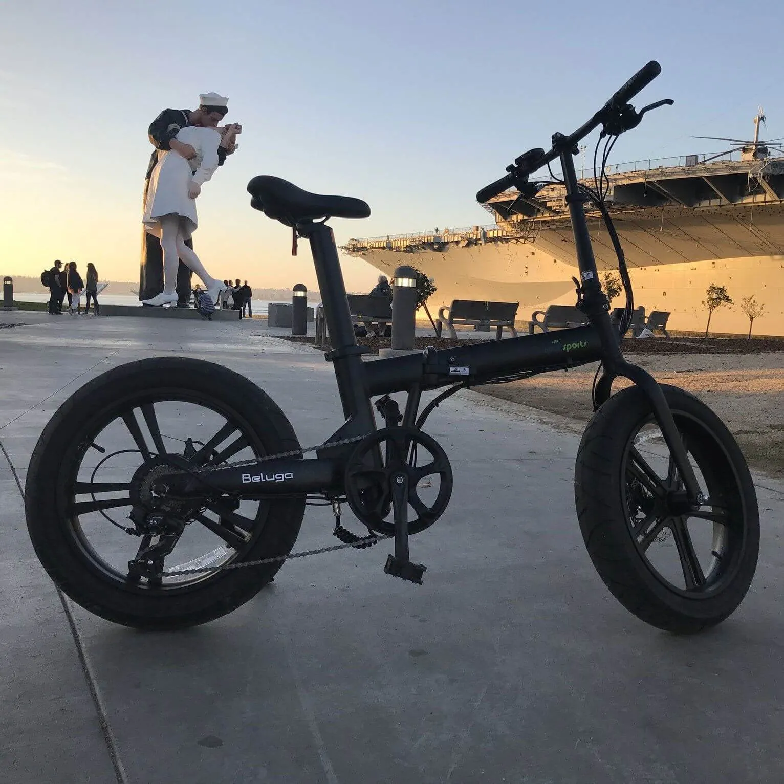 Qualisports Beluga Fat Tire Portable Folding Electric Bike